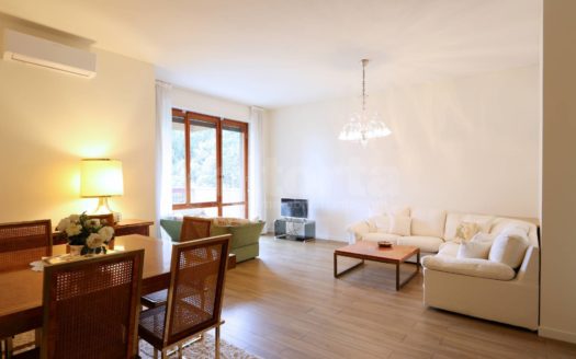Residenziale Appartamento Affitto Monza
